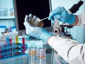 Диагностика рака желчных протоков в Израиле