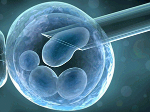 Подготовка стволовых клеток