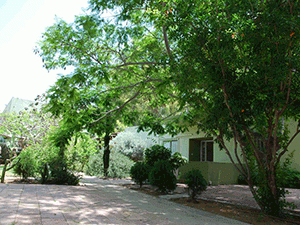 Реабилитация при наркозависимости и алкоголизме в Израиле