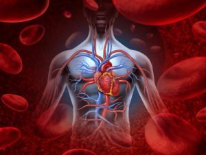 кардиохирургия