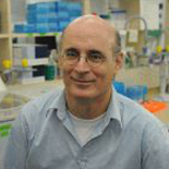 Профессор Гиди Рахби