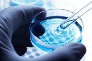 Процедура Эко