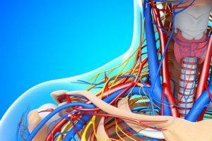 Лечение болезни Рейно в Израиле