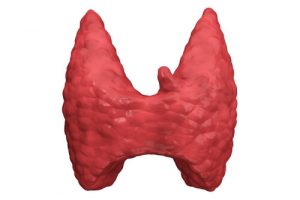 Удаление щитовидной железы в Израиле